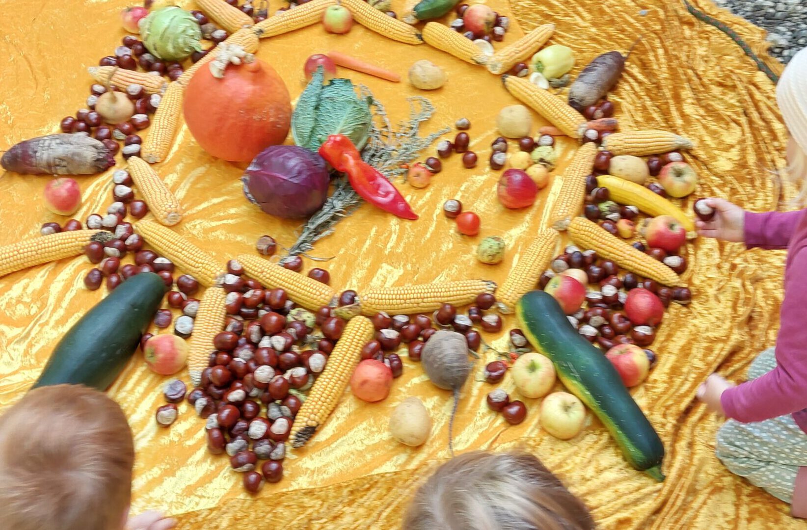 Auf einem sonnengelben Tuch legen wir ein Mosaik aus der mitgebrachten Ernte. Wir staunen wieviel bei uns alles wächst.